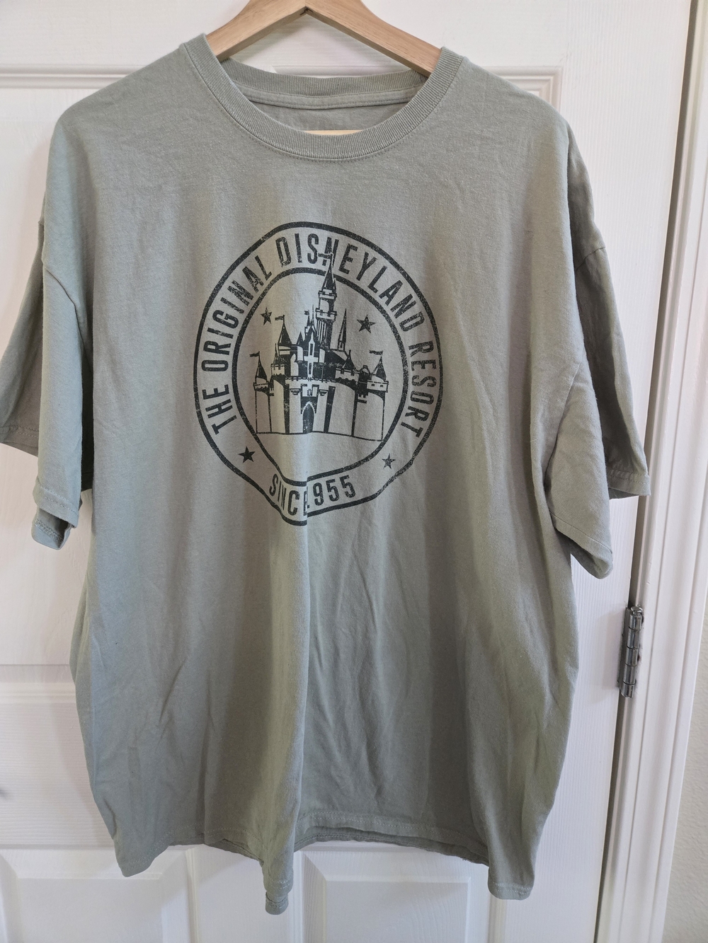 Disneyland Resort Castle Graphic Men's Tee - XXL Sage Green